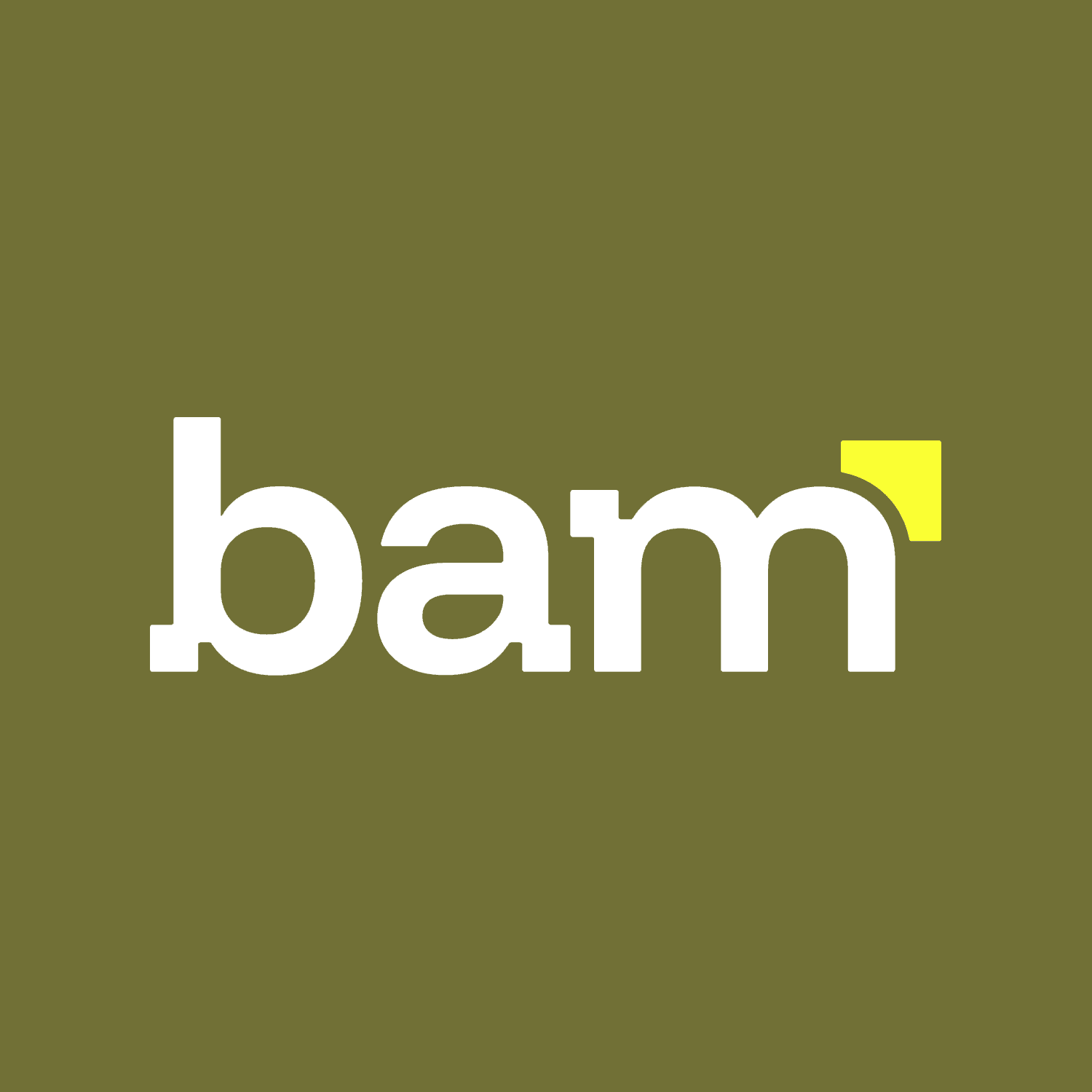 BAM EMBALLAGE